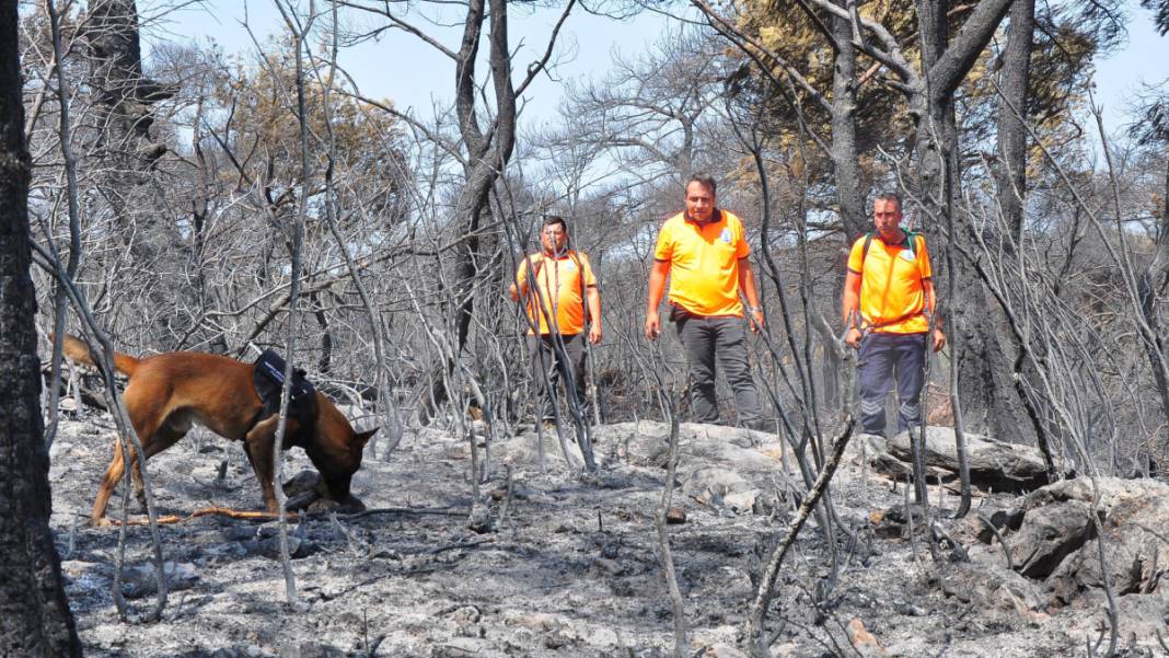 Kabus 23 saat sürmüştü: Sabotaj şüphesini 'Tarzan' çözecek 5